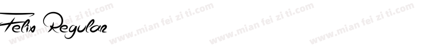 Felix Regular字体转换